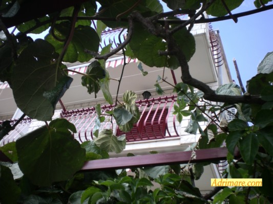 04 Gartenansicht Haus.JPG